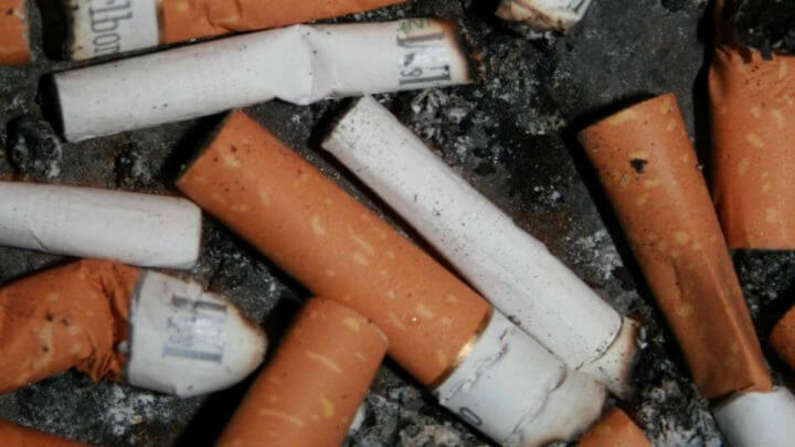 Colillas de cigarrillo en tu comida
