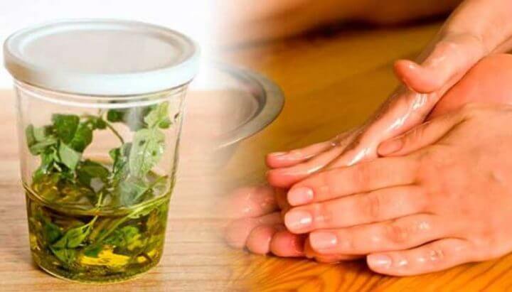 ¿Cómo usar el aceite de orégano?