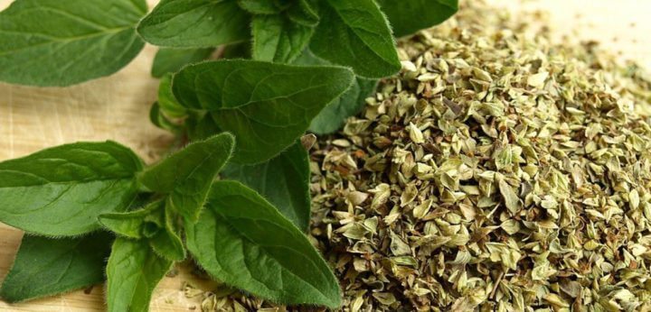 El aceite de orégano tiene muchos antioxidantes