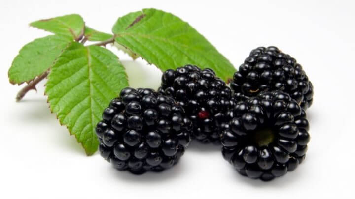 Cuánta vitamina K tienen las moras