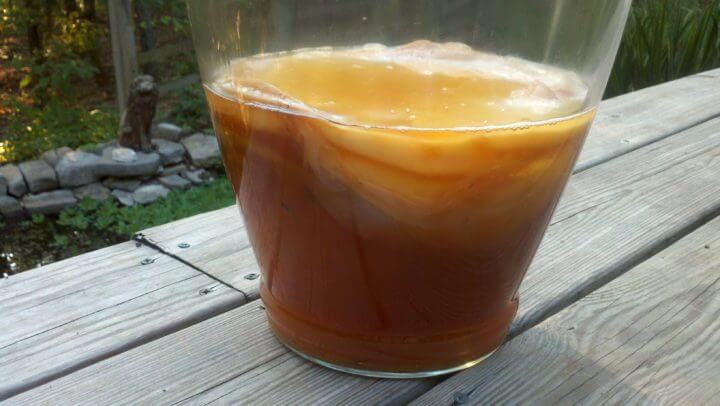 Recetas de infusiones de Kombucha