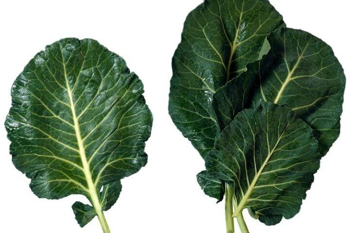 Preparar ensalada rica en vitamina K