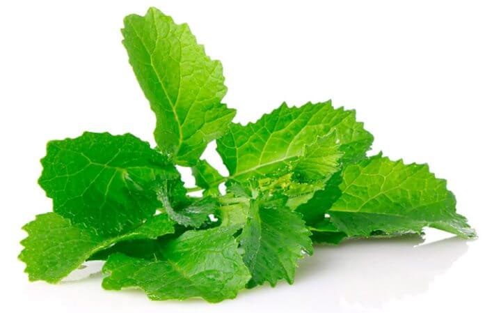 hojas de mostaza fuente de vitaminas y minerales