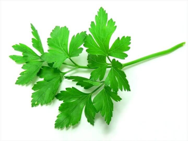 Cantidad de vitamina K del perejil