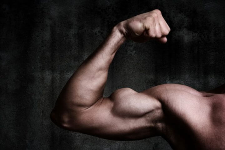¿Es efectivo el óxido nítrico para la recuperación muscular?