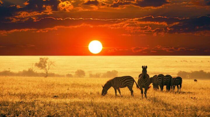 Sudáfrica es un lugar ideal para irte de vacaciones