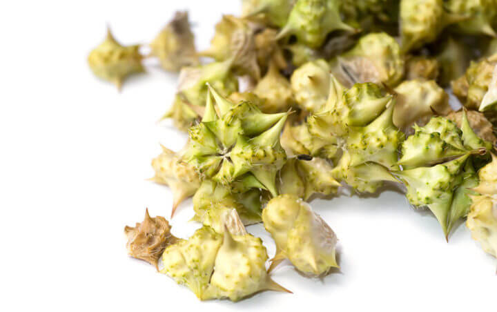 ¿Qué beneficios tiene el tribulus terrestris?