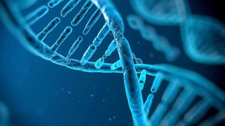 Los genes afectan a tu rutina de ejercicios