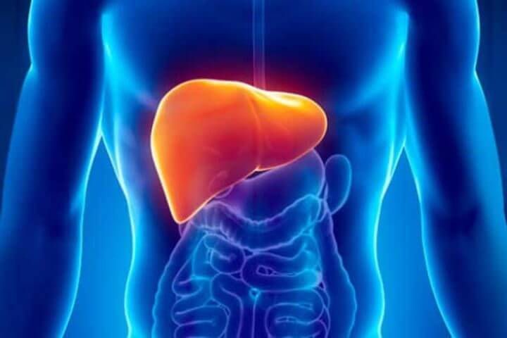 ¿Puede el hígado graso ser señal de falta de proteínas?