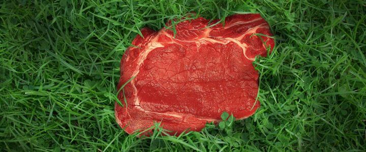 ¿Por qué es más cara la carne de pasto?