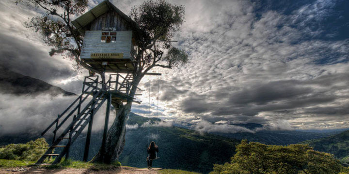 Viajar a La Casa del Árbol 