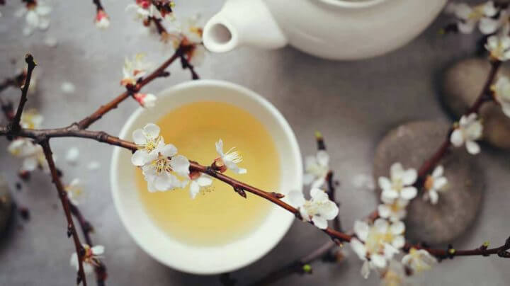 Efectos en la salud del té blanco