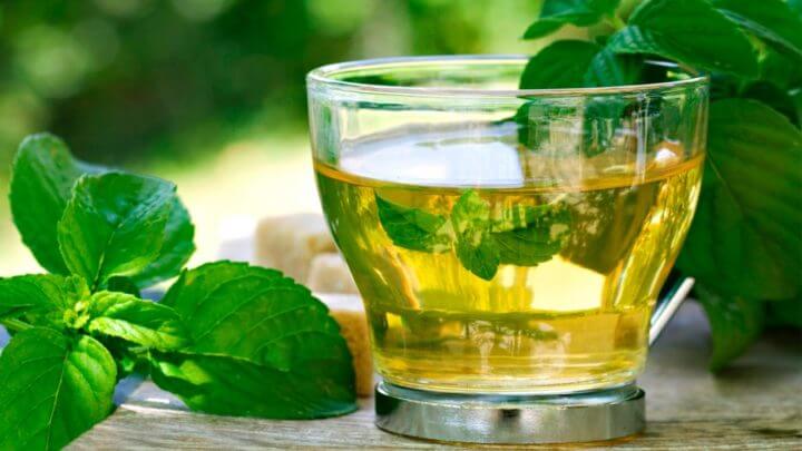 Tomar infusión de melisa por la noche