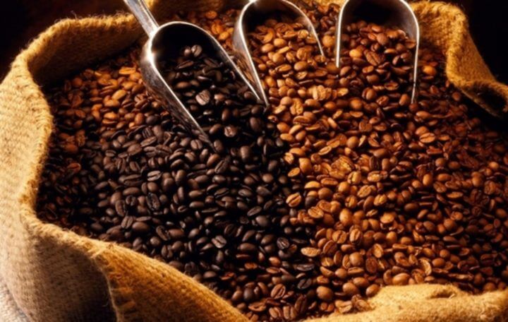 El tipo de grano del café influye en su sabor