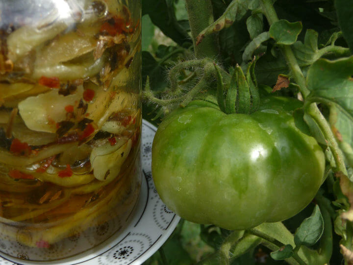 ¿Cómo preparar escabeche de tomate verde?