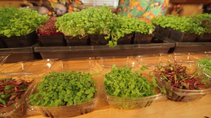 ¿Qué beneficios tienen las microverduras?