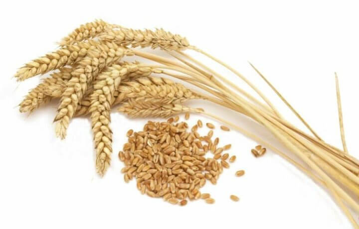 Añadir más fibra a tu taza de avena