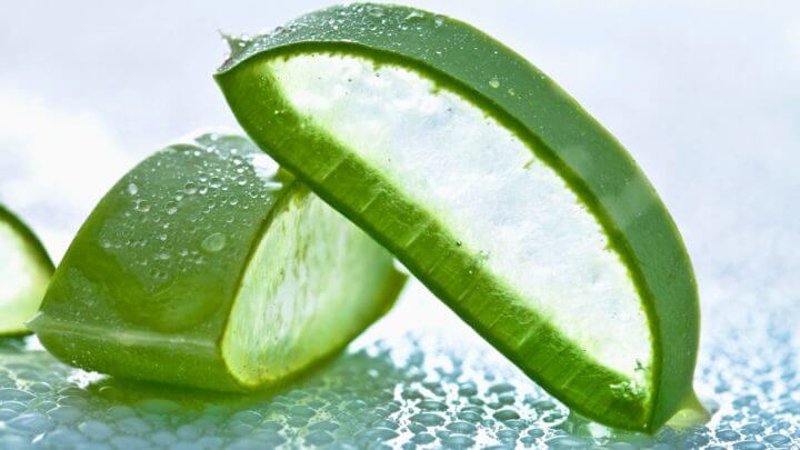 Aloe vera contra la caspa