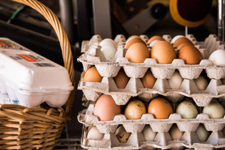 Significado de huevos de gallinas libres de jaula