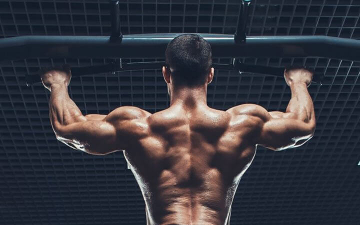 Variables que determinan frecuencia de entrenamiento