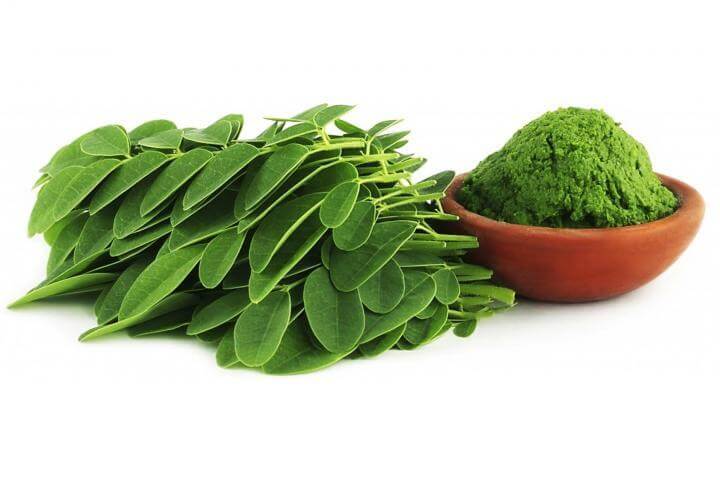 Qué dice la ciencia de la moringa oleifera