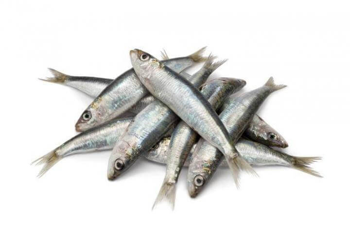 ¿Tienen suficiente vitamina B12 las sardinas?