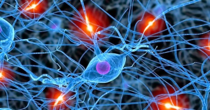 Los nootrópicos pueden mejorar tu capacidad mental