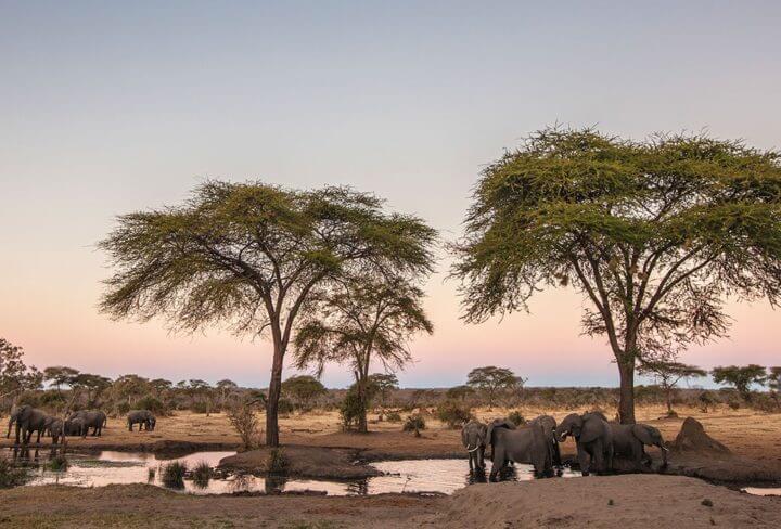 ¿Qué visitar en Botswana?
