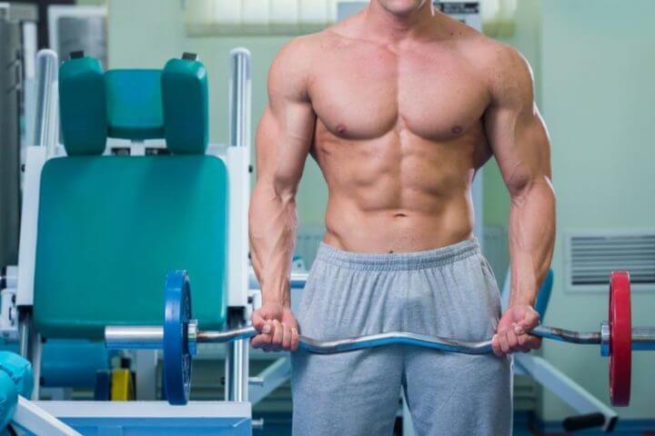 Qué factores determinan el crecimiento de la masa muscular