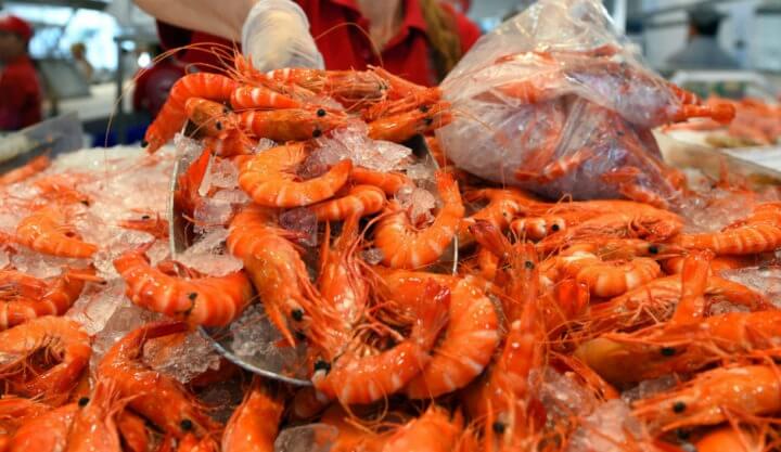 Presencia de microplásticos en el marisco