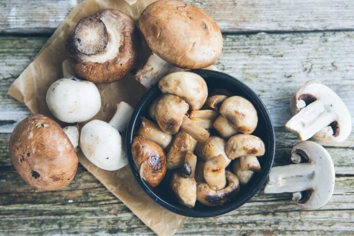 Hongos y champiñones son la principal fuente de vitamina D2