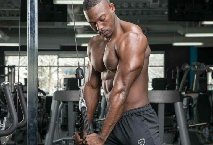 ¿Qué tipos de fibras musculares existen?