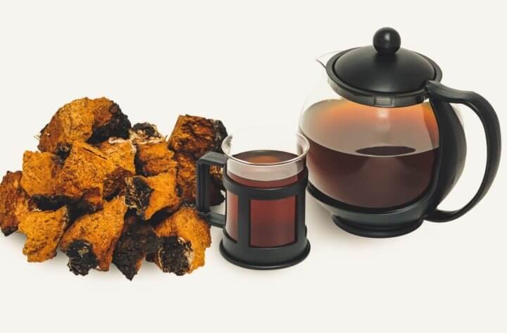 Efectos secundarios de los hongos Chaga