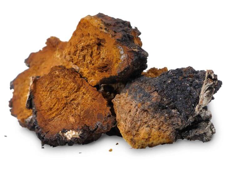 Beneficios probados de los hongos Chaga