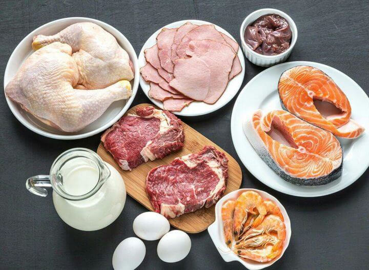 Menú diario de dieta carnívora