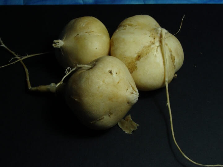 La raíz de jícama sirve para hacer patatas fritas saludables