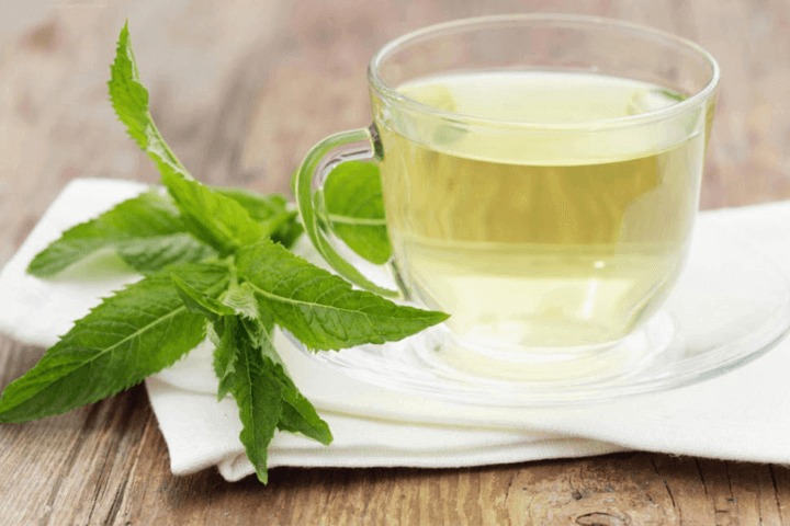 Guía sobre los beneficios del té de menta