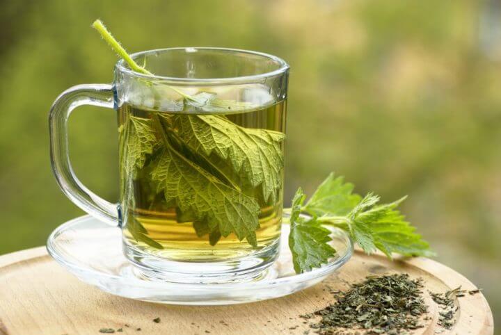 ¿Para qué sirve el té essiac?