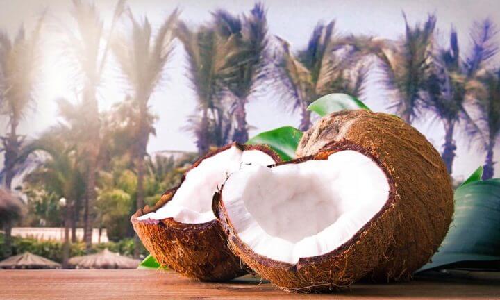 Vinagre originado de la savia de coco