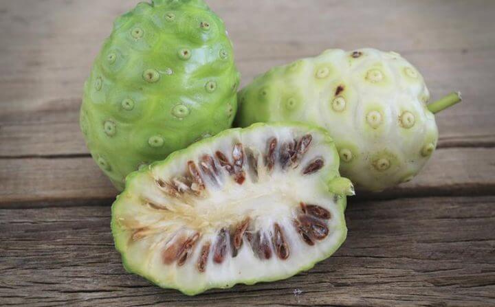 Guía sobre el zumo de noni