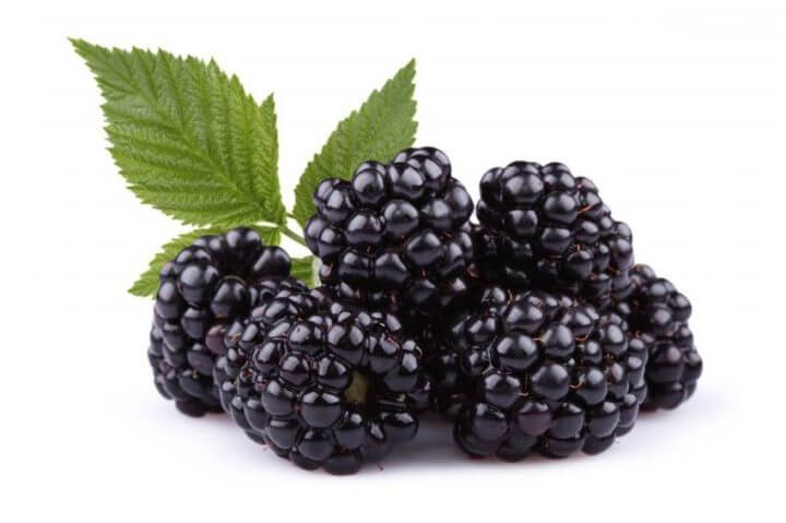 Propiedades antioxidantes de las moras