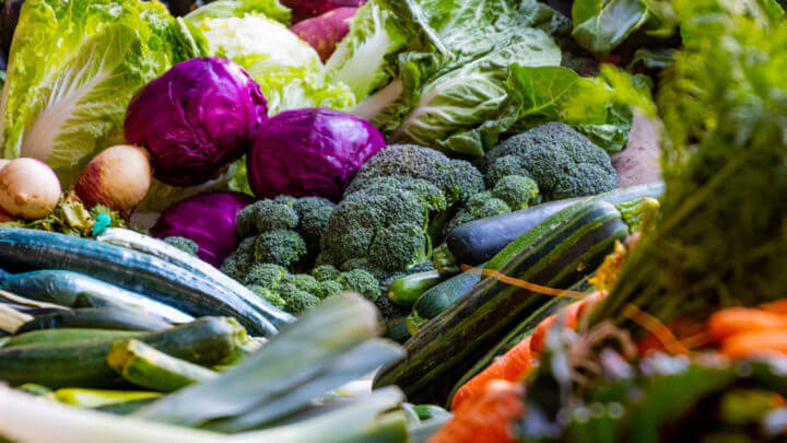 Alimentos con propiedades medicinales