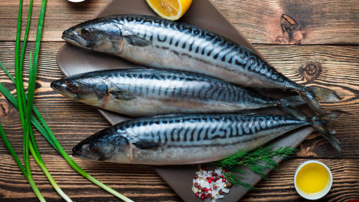La grasa del pescado azul es saludable