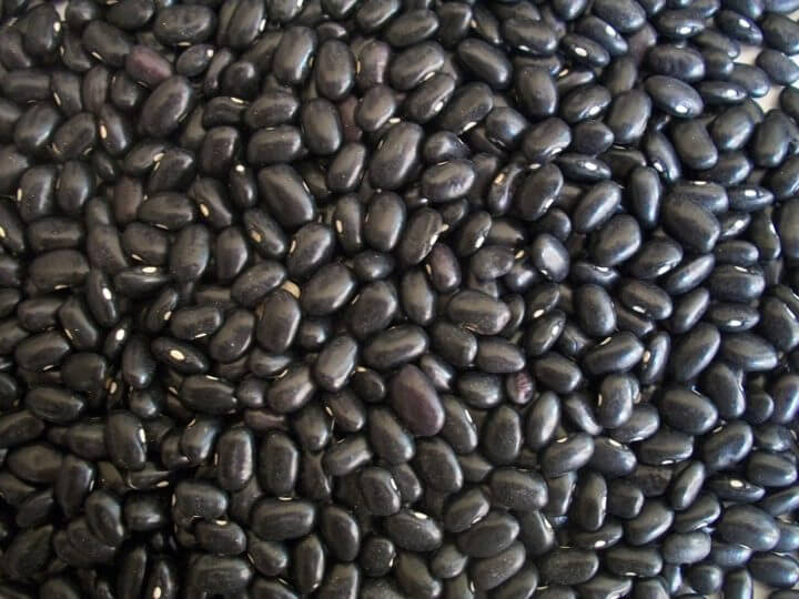 Consumir frijoles negros reduce el riesgo de padecer diabetes