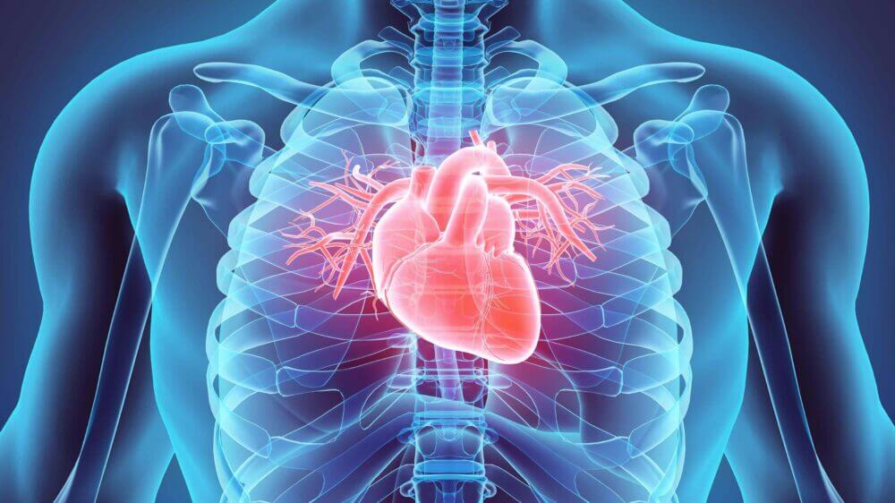 La avena puede prevenir las enfermedades cardiacas