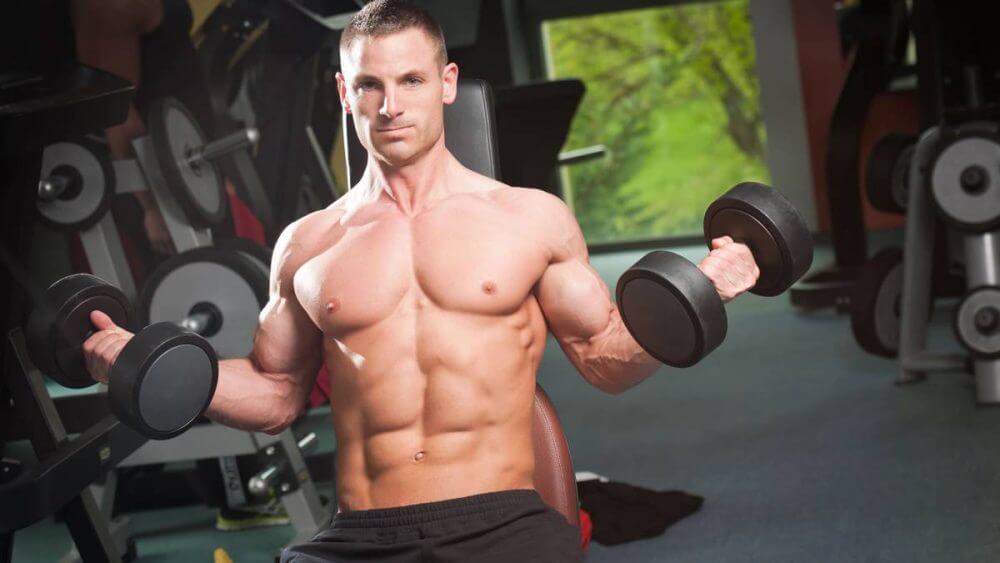 catabolismo y masa muscular