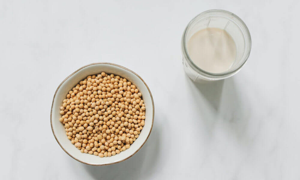 granos de soja