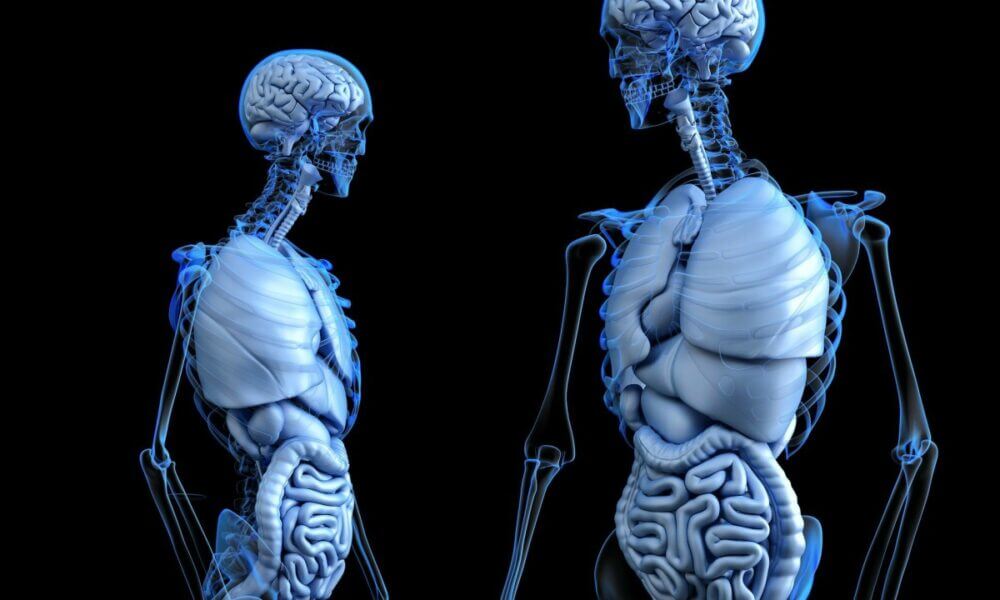 que es una calcificacion osea y como se puede prevenir o tratar