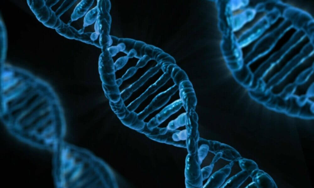 que es una calcificación ósea y como se puede prevenir o tratar