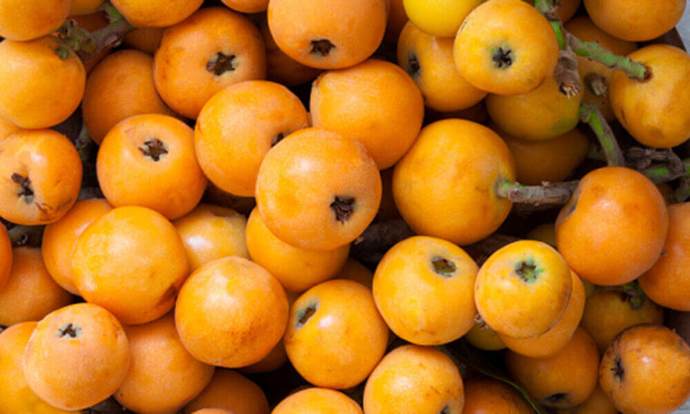 Principales beneficios que aporta el nispero para controlar los niveles de azúcar en la sangre